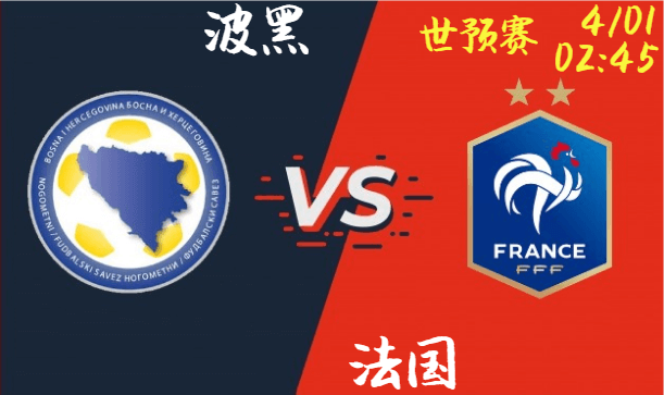 波黑 vs 法国