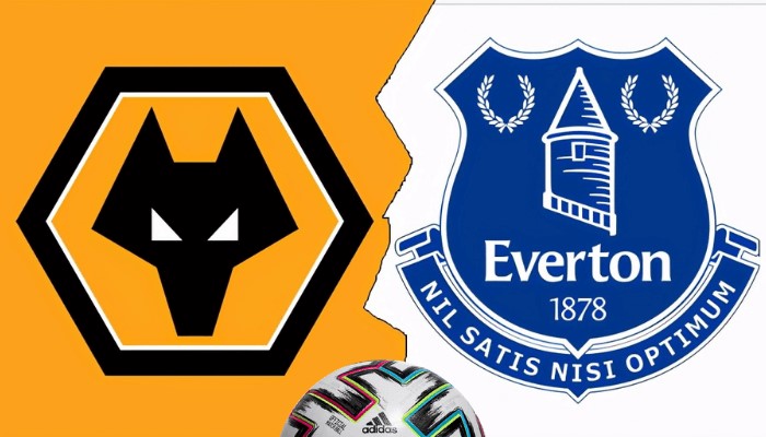 狼队 vs 埃弗顿综合分析